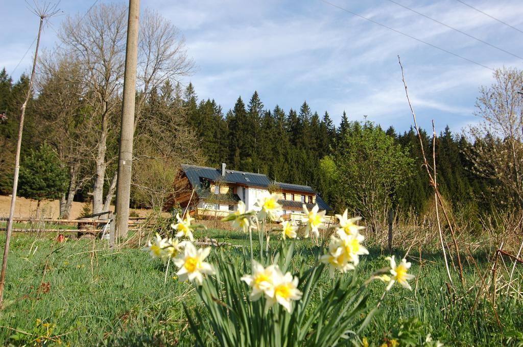 Železná Ruda 帕法尔卡旅馆酒店 外观 照片